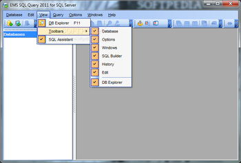 EMS SQL Query 2011 for SQL Server screenshot 3