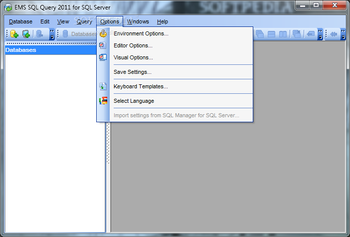 EMS SQL Query 2011 for SQL Server screenshot 4