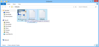 Emsisoft Decrypter for Gomasom screenshot