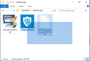 Emsisoft Decrypter for HydraCrypt screenshot