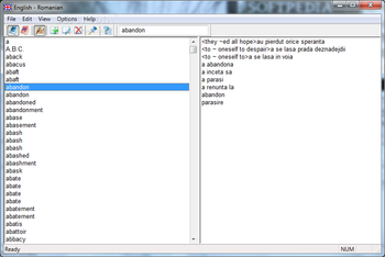 English - Romanian Dictionary screenshot
