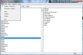 English - Romanian Dictionary screenshot 2