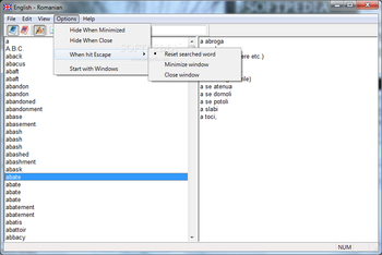 English - Romanian Dictionary screenshot 3