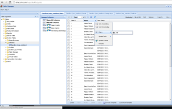 Enhanced SQL Portal screenshot 8