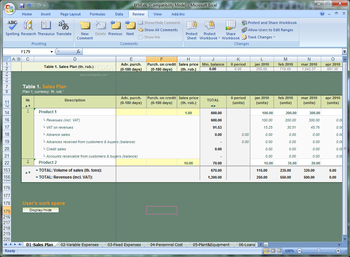 Enterprise Financial Model screenshot