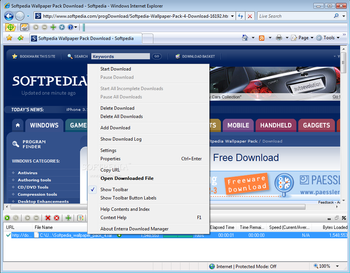 Enterra Download Manager screenshot 2