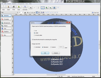 Epson Print CD screenshot 8