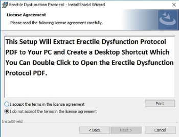 Erectile Dysfunction Protocol PDF eBook Book Free screenshot