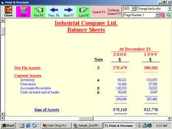 ErezPP1LTR Print Preview ActiveX Control for VB6 screenshot 2