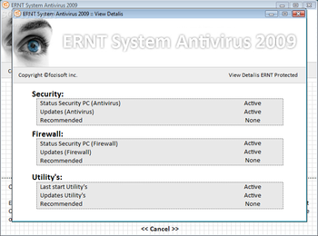 ERNT System Antivirus 2009 screenshot 2
