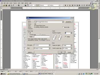 ES Image Printer Driver  screenshot 4