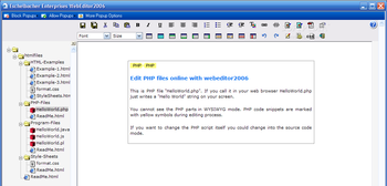 Eschelbacher Enterprises WebEditor screenshot 2