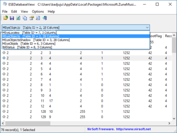 ESEDatabaseView screenshot 2