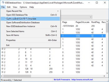 ESEDatabaseView screenshot 3