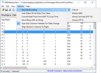 ESEDatabaseView screenshot 6