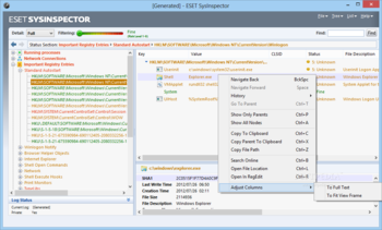 ESET SysInspector screenshot 3