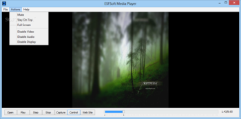 ESFSoft Media Player screenshot 2