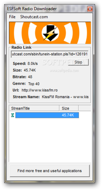 ESFSoft Radio Downloader screenshot