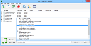 ESFsoft Video Converter screenshot