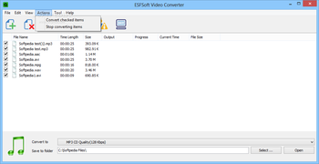 ESFsoft Video Converter screenshot 4