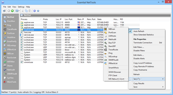 Essential NetTools screenshot