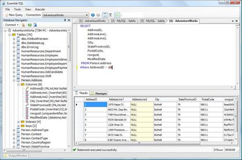 Essential SQL screenshot