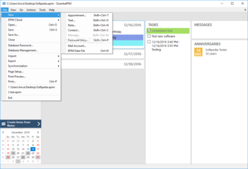 EssentialPIM screenshot 2