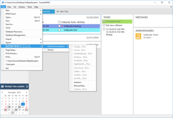 EssentialPIM screenshot 4