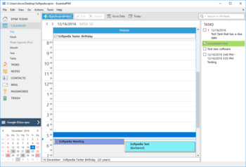 EssentialPIM screenshot 9