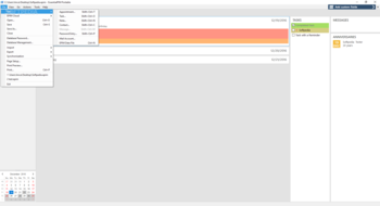 EssentialPIM Portable screenshot 2