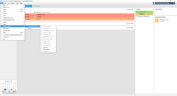 EssentialPIM Portable screenshot 4