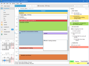 EssentialPIM Pro Business screenshot 2