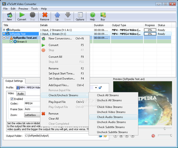 eTeSoft Video Converter screenshot