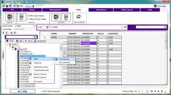 ETU SQL for DB2 screenshot 10