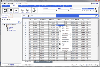 ETU SQL Pro Plus screenshot 3