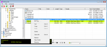 Eufony Lite Audio Player screenshot 3