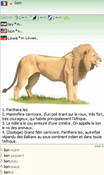 Euroword screenshot 2