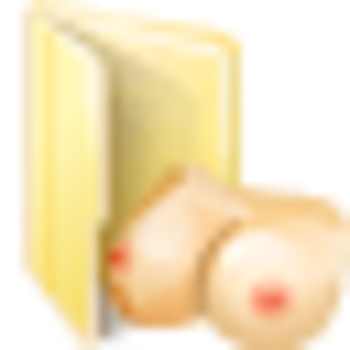 Everyday Folder Icons screenshot 2