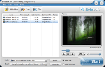 Eviosoft AVI Converter screenshot