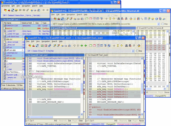 ExamDiff Pro screenshot