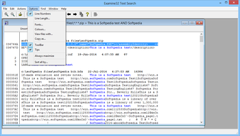 Examine32 Text Search screenshot 7