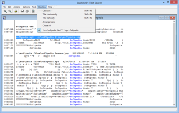 Examine64 Text Search screenshot 9