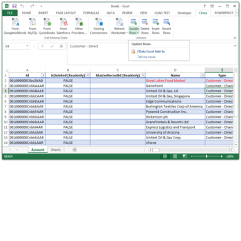 Excel Add-In for OracleSalesCloud screenshot