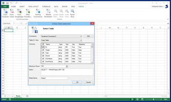 Excel AddIn for Facebook screenshot