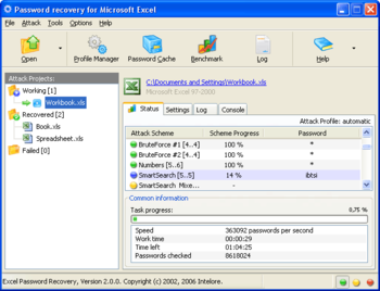 Excel Password Recovery Wizard screenshot 2