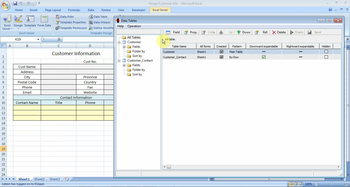 Excel Server 2010 Standard Edition screenshot 4