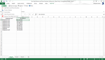 Excel Split Names and Phone Numbers Software screenshot