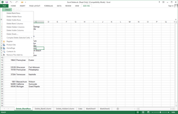 Excel Tool Delete Blank, Hidden Rows, Columns, Sheets (formerly Excel Delete) screenshot