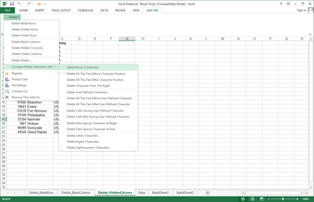 Excel Tool Delete Blank, Hidden Rows, Columns, Sheets (formerly Excel Delete) screenshot 2