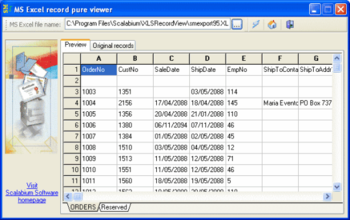 ExcelFile: direct view screenshot
